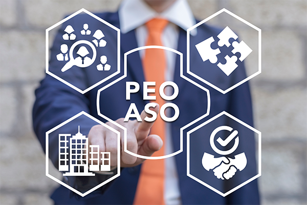 Person pointing to the center were says PEO ASO around it other icons representing: Business, Search, contracts, and solutions as a puzzle pieces.